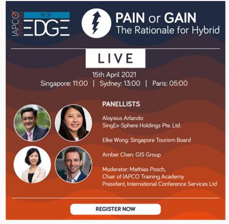 Pain or gain - the Rationale for Hybrid image