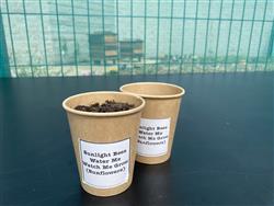 Buzzing about bees at ACC Liverpool