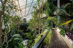 Barbican introduces exclusive private dining experience in conservatory