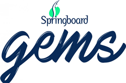 Springboard Gems Mentoring Scheme