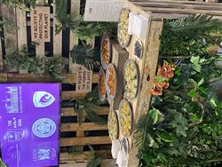 Lime Venue Portfolio to Launch Big Event Food Survey